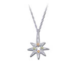 Landstrom's Black Hills Gold Sterling Silver starburst necklace