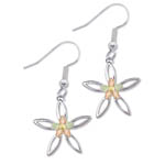 Landstrom's Black Hills Gold Sterling Silver star earrings
