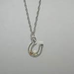 Black Hills Gold Sterling Silver small horseshoe necklace