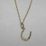 Black Hills Gold horse shoe necklace