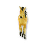 Enamel walking buckskin horse brooch