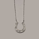 Sterling Silver cubic zirconia horseshoe necklace