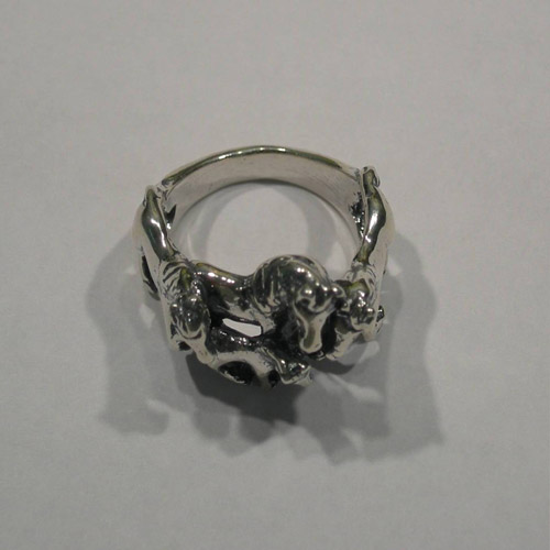side of horse herd ring