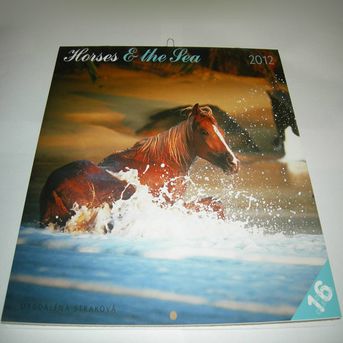 Horses and the Sea 2012 Calendar