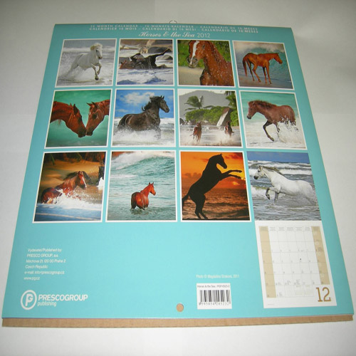 Horses and the Sea 2012 Calendar inside pictures