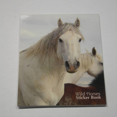 Horses Stickers Book