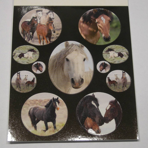 pictures of stickers in book