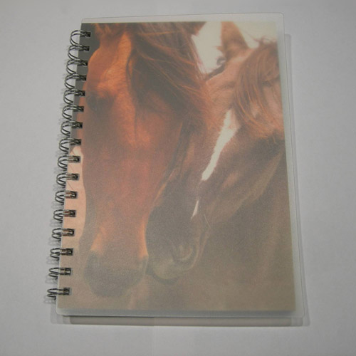 Nuzzling Mustangs Journal