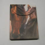 Nuzzling Mustangs pocket notes