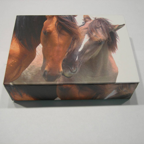 side of Wild Horses boxed cards