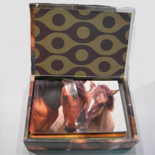 Wild Horses boxed cards box open