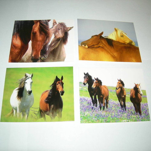 Four card designs in box