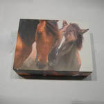 Wild Horses boxed cards