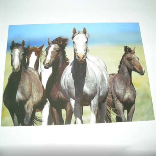Mustang Herd card